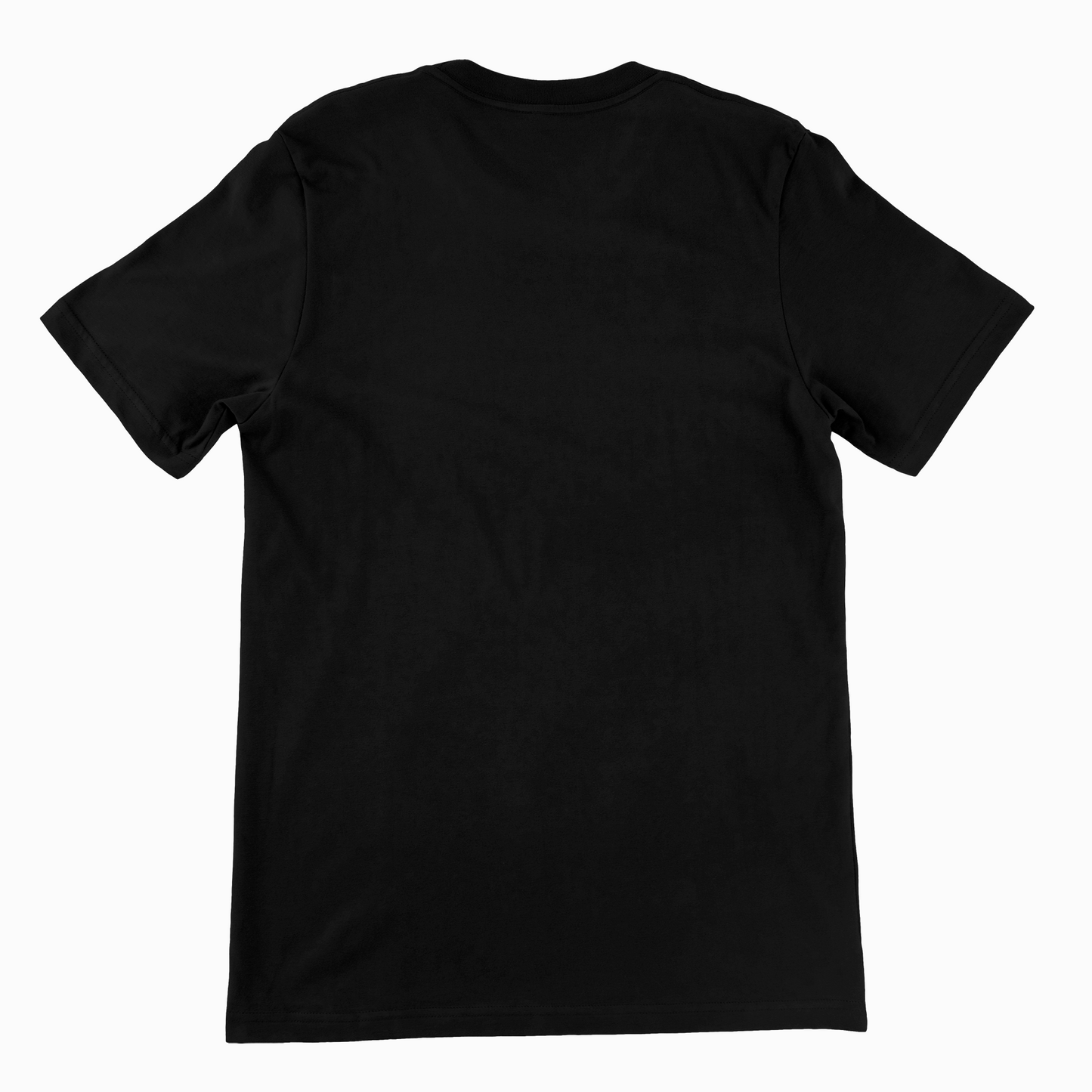 Classic Unisex T-Shirt